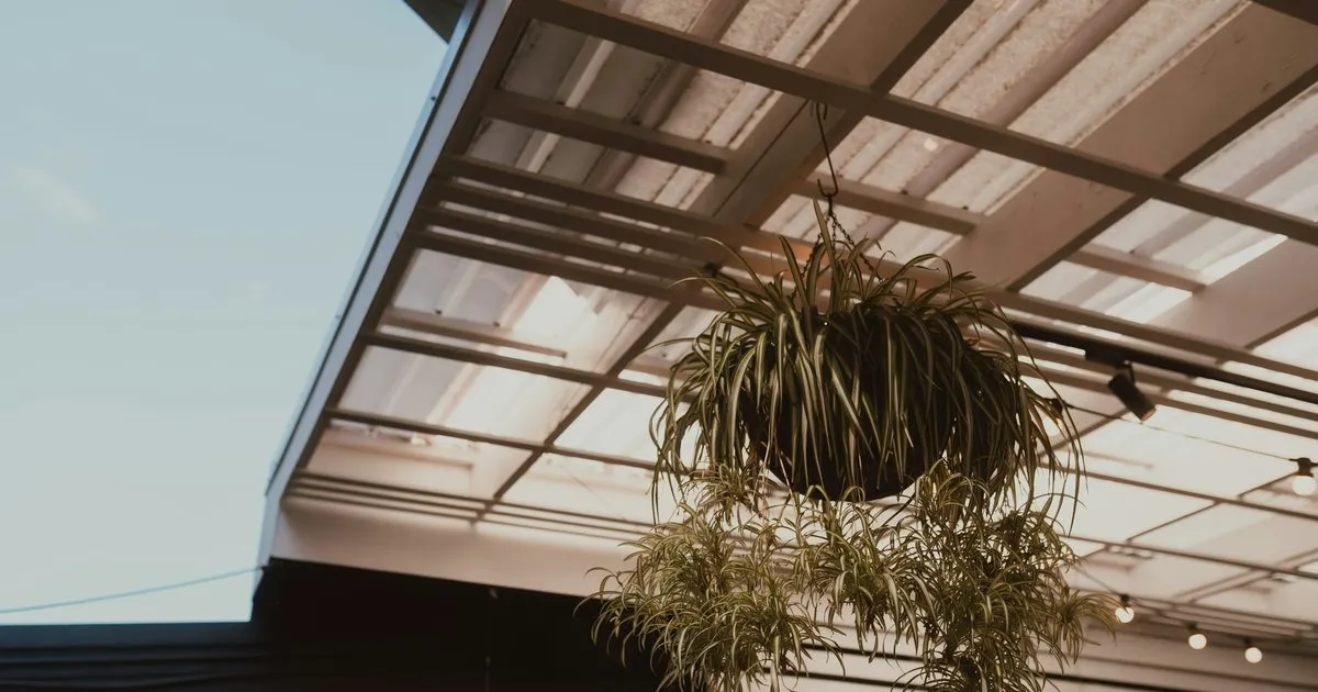 Cubierta translúcida sobre estructura de madera y metal en un patio, con una planta colgante